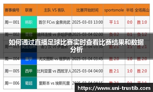 如何通过直播足球比赛实时查看比赛结果和数据分析